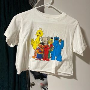 Kaws shirt